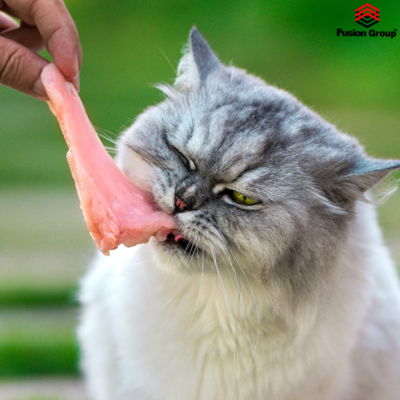 Dinh dưỡng cho mèo trưởng thành